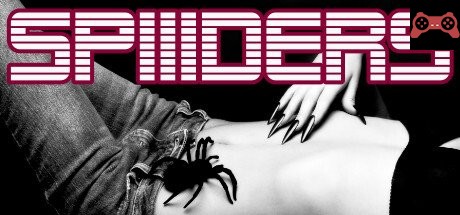 SPIIIDERS System Requirements