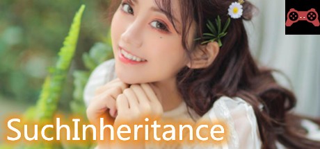 SuchInheritance System Requirements