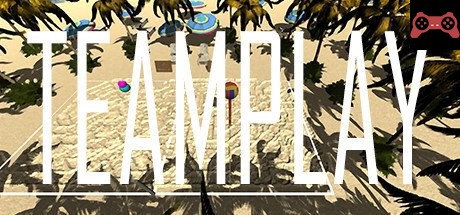 TeamPlay System Requirements