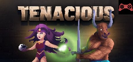 Tenacious System Requirements