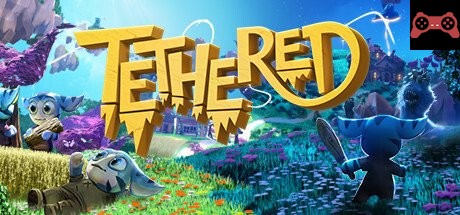 Tethered System Requirements