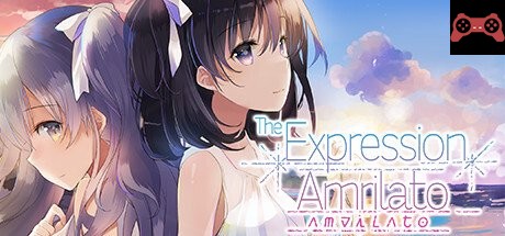 The Expression Amrilato System Requirements