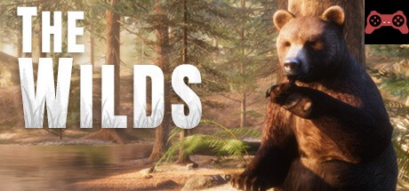 The WILDS System Requirements