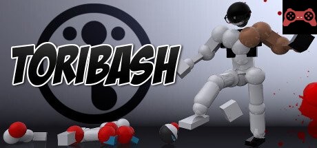 Toribash System Requirements
