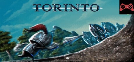 TORINTO System Requirements