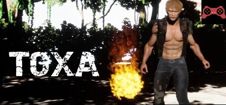TOXA System Requirements