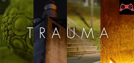 Trauma System Requirements