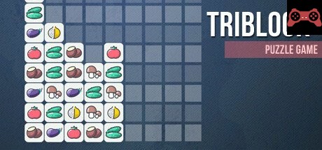 Triblock System Requirements