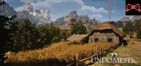 Undomestic System Requirements