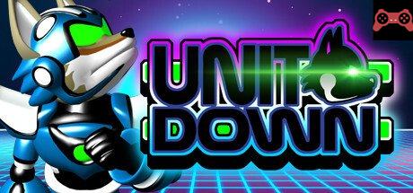 Unit Down System Requirements