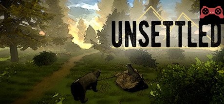 Unsettled System Requirements