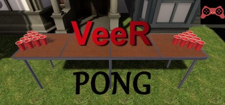 VeeR Pong System Requirements
