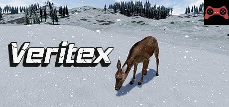 Veritex System Requirements
