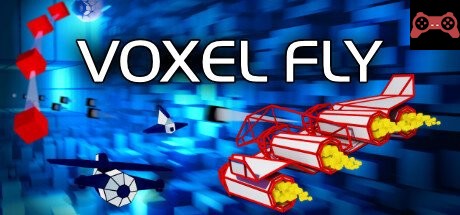 Voxel Fly System Requirements