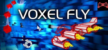 Voxel Fly System Requirements