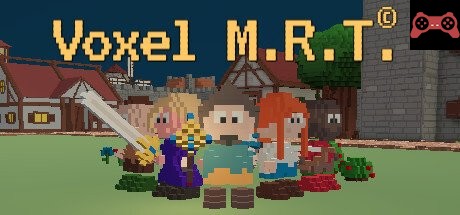 Voxel M.R.T. System Requirements