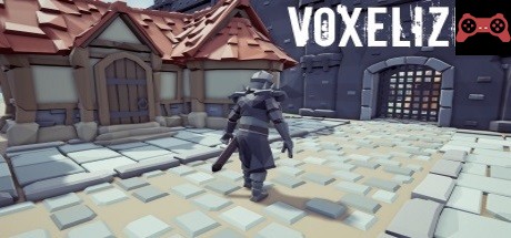Voxelized System Requirements
