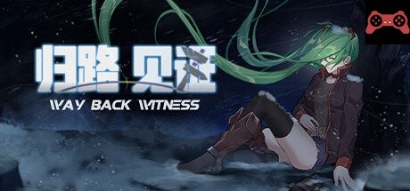 Way Back Witness System Requirements