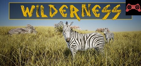 Wilderness System Requirements