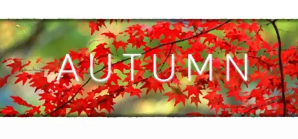 Autumn game cover