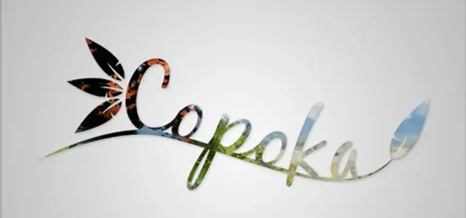 Copoka game cover