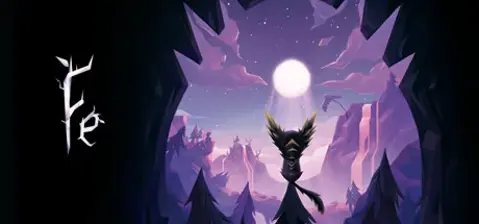 Fe cover