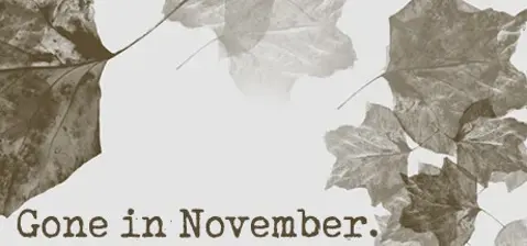 Gone In November cover