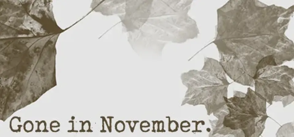 Gone In November game cover