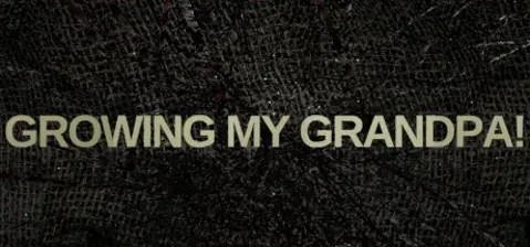 Growing My Grandpa! cover