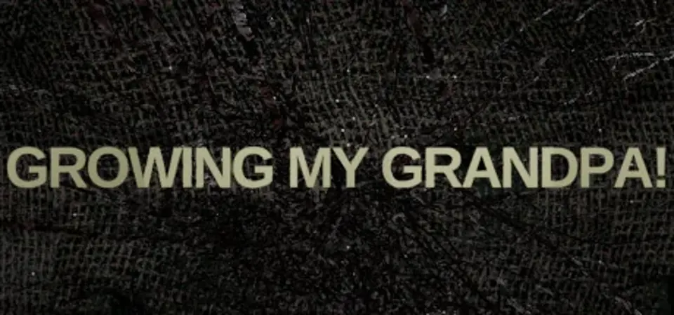 Growing My Grandpa! game cover
