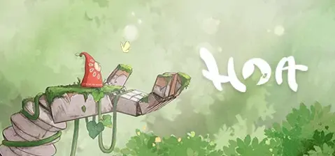 Hoa cover