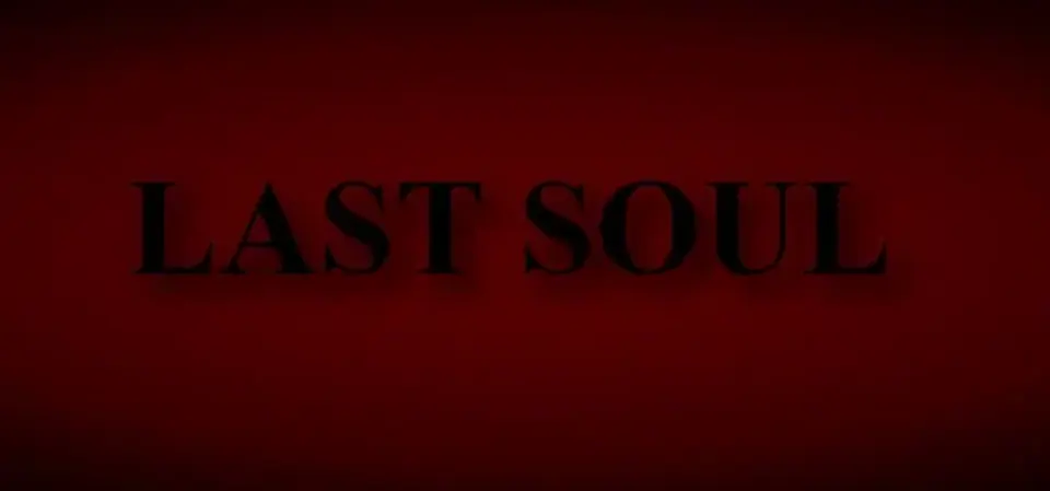 Last Soul game cover