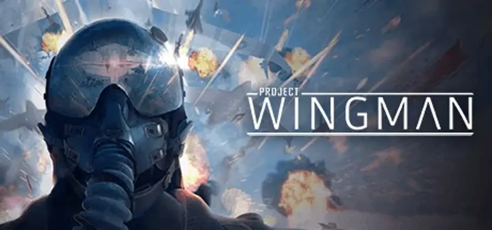 Project Wingman game cover