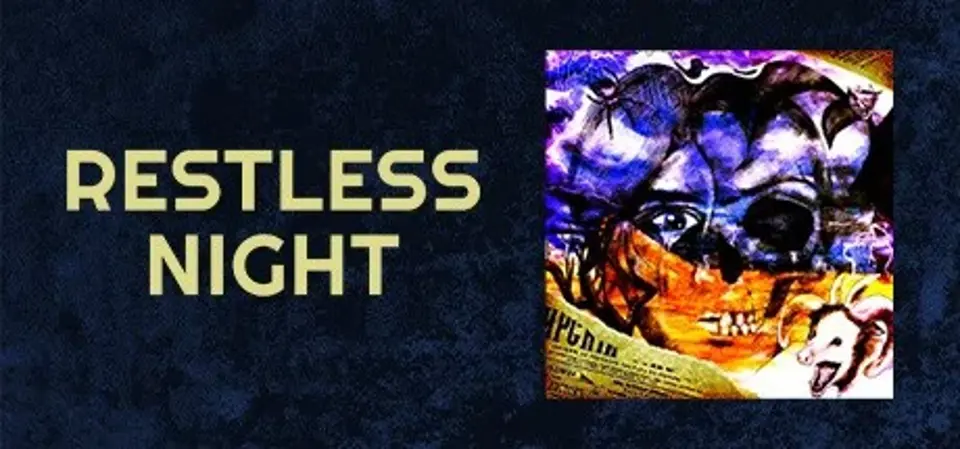 Restless Night game cover