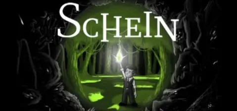 Schein cover
