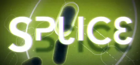 Splice cover