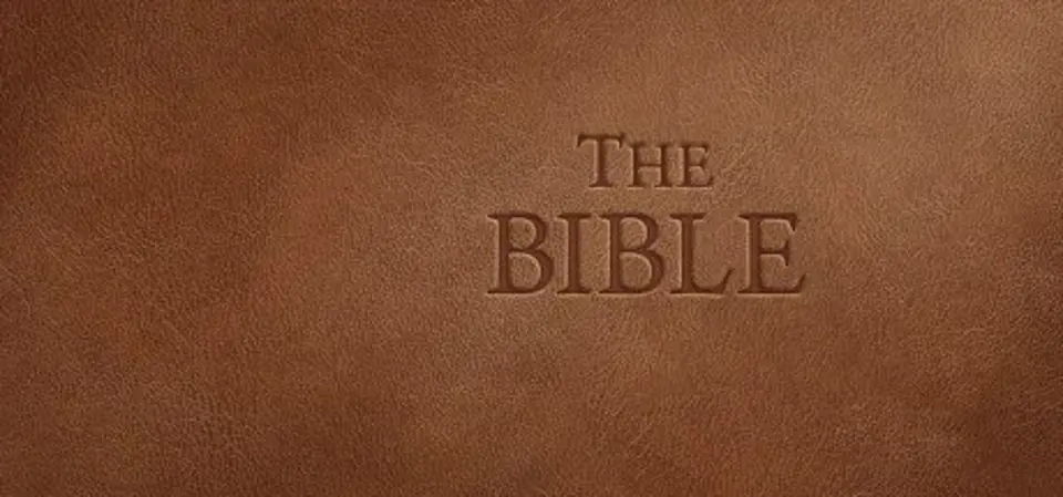 The Bible game cover
