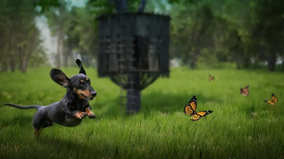 The Lost Dachshund game cover