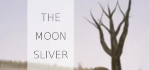 The Moon Sliver cover