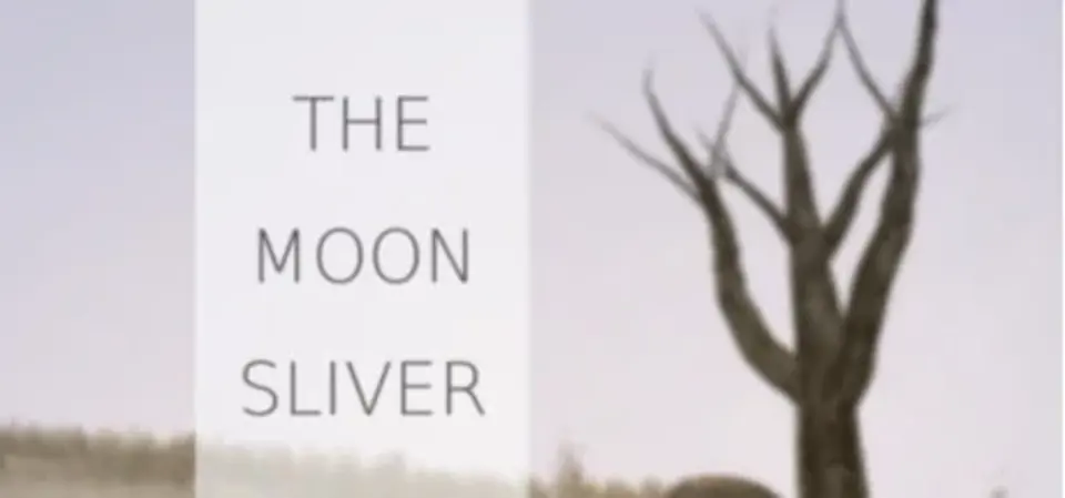 The Moon Sliver game cover