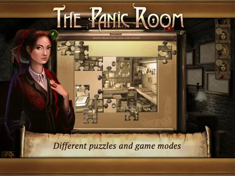 The Panic Room cover