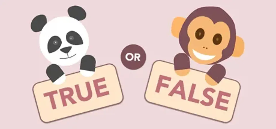 True or False game cover