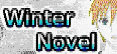 Winter Novel cover